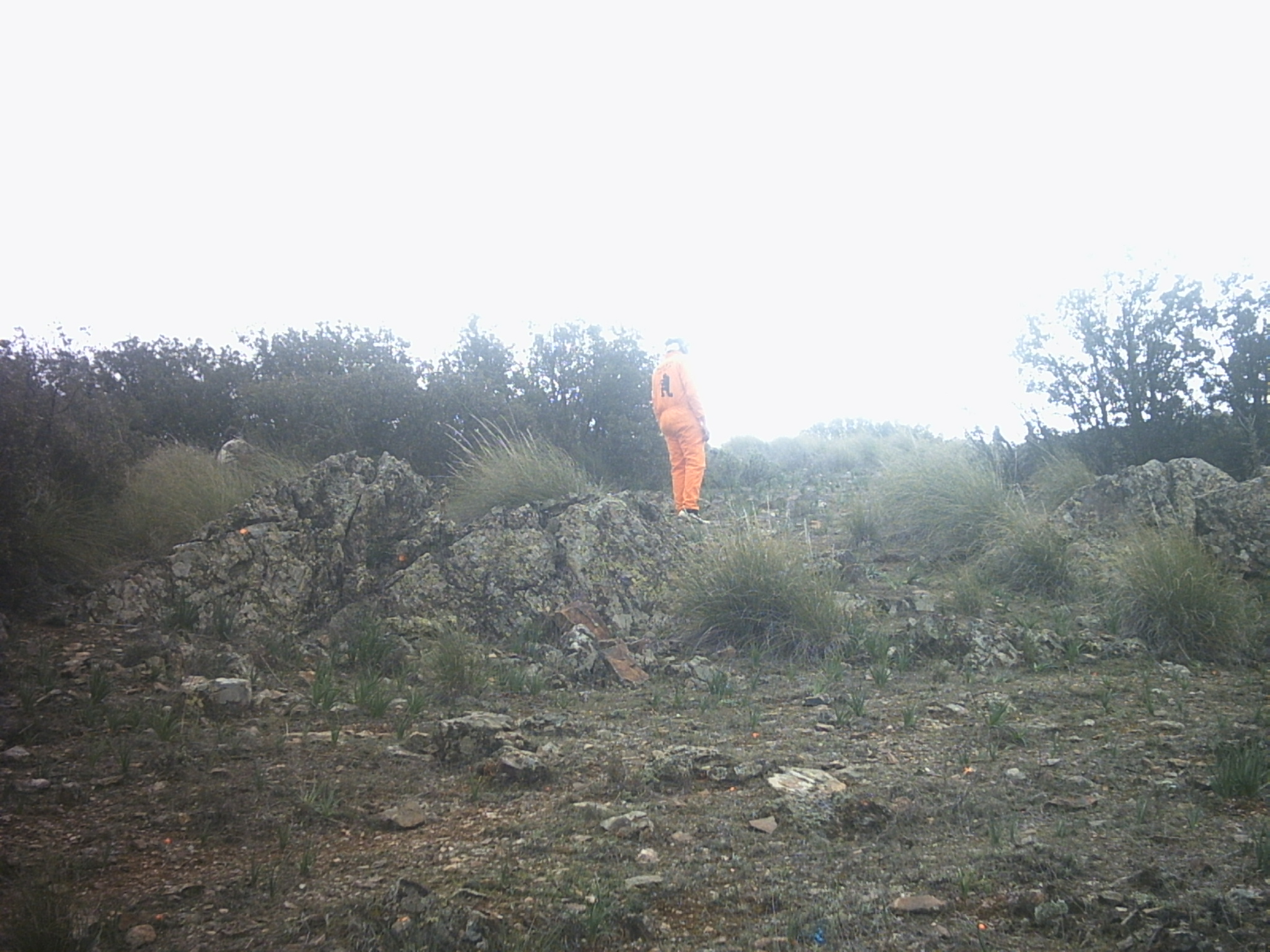 Fotografía PHTO0086 en el álbum Tobruk